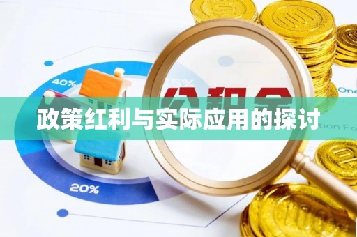 东台政策红利与实际应用的探讨