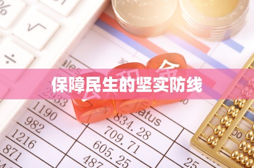 东台保障民生的坚实防线