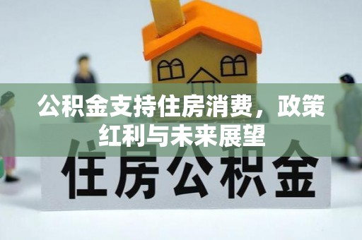 东台公积金支持住房消费，政策红利与未来展望