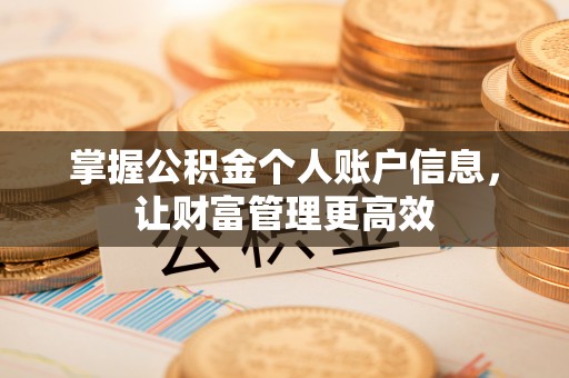 东台掌握公积金个人账户信息，让财富管理更高效